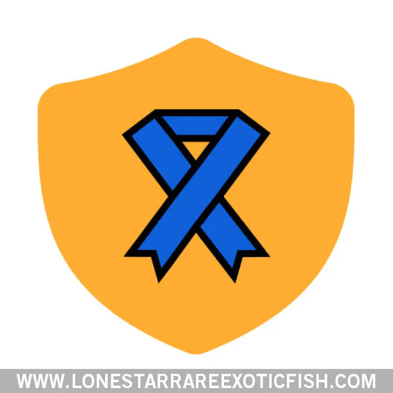 7-day Livestock Protection Live Freshwater Tropical Fish for Sale Online