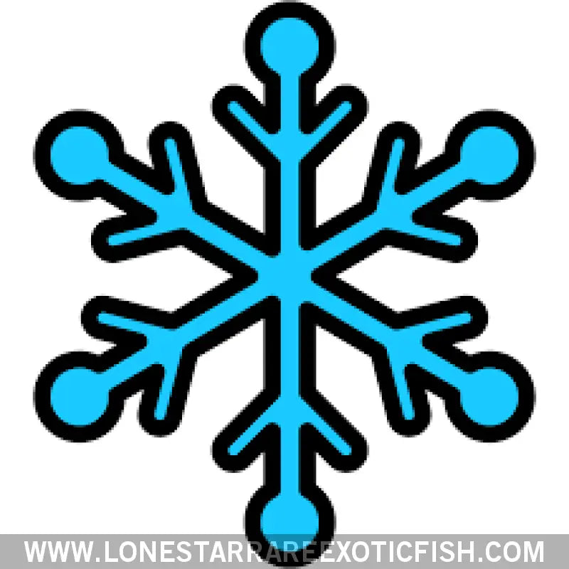 Cold Weather Packaging Live Freshwater Tropical Fish for Sale Online