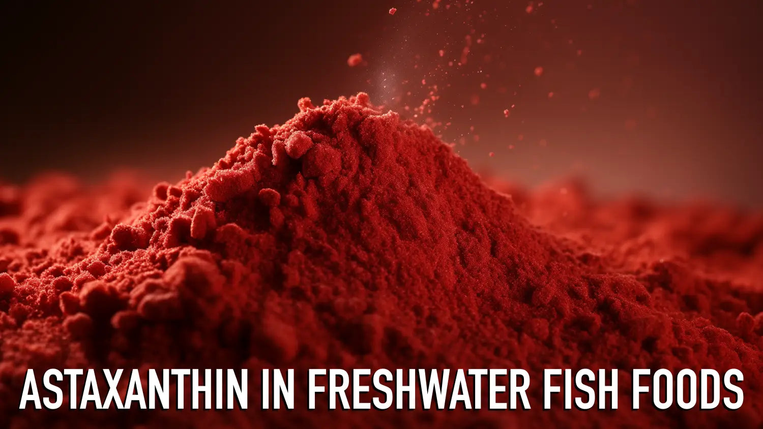 Astaxanthin in Freshwater Aquarium Fish Foods A Deep Dive