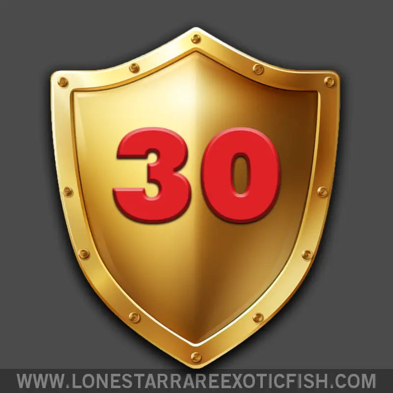 30-day Livestock Protection Live Freshwater Tropical Fish for Sale Online