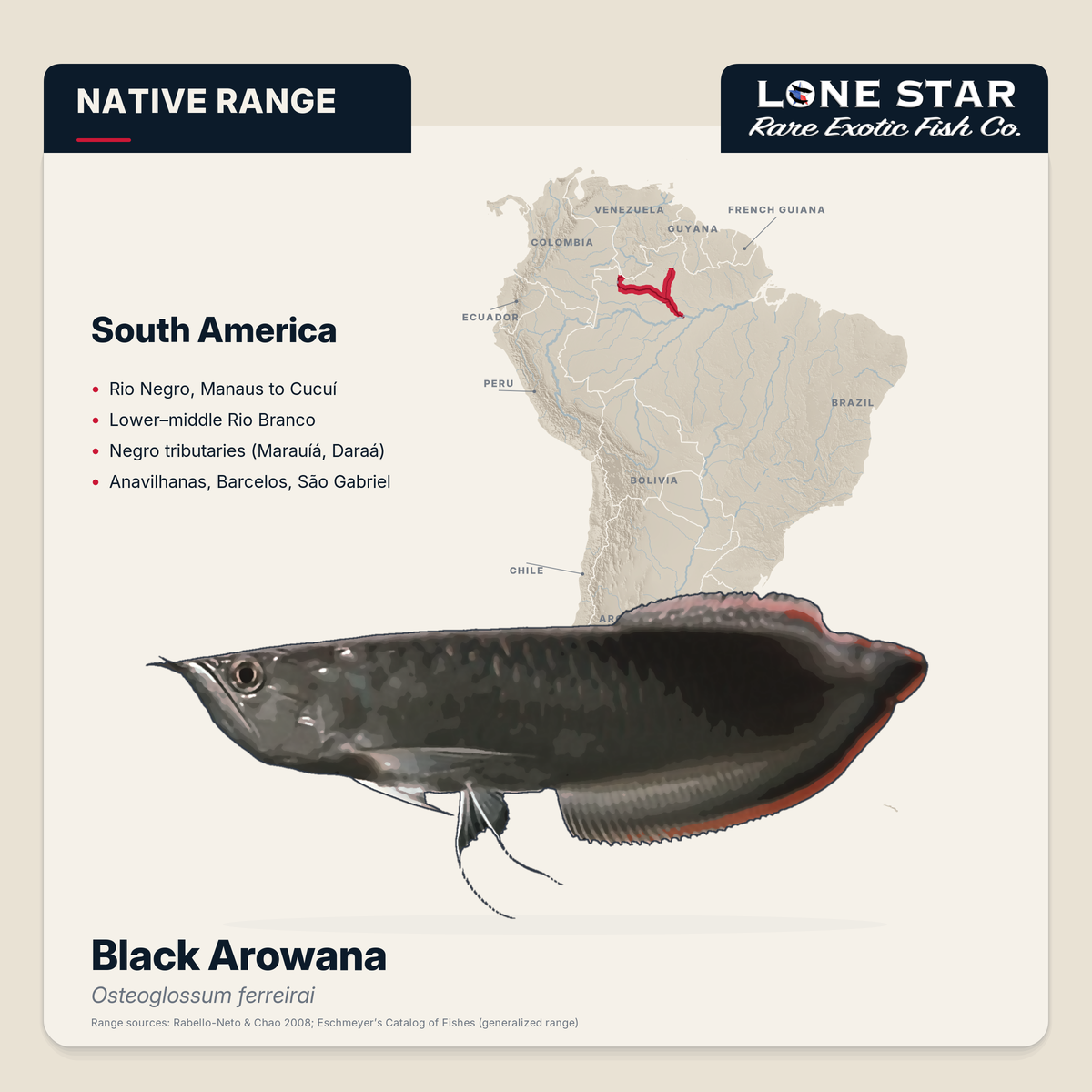 Black arowana native range map, Rio Negro basin