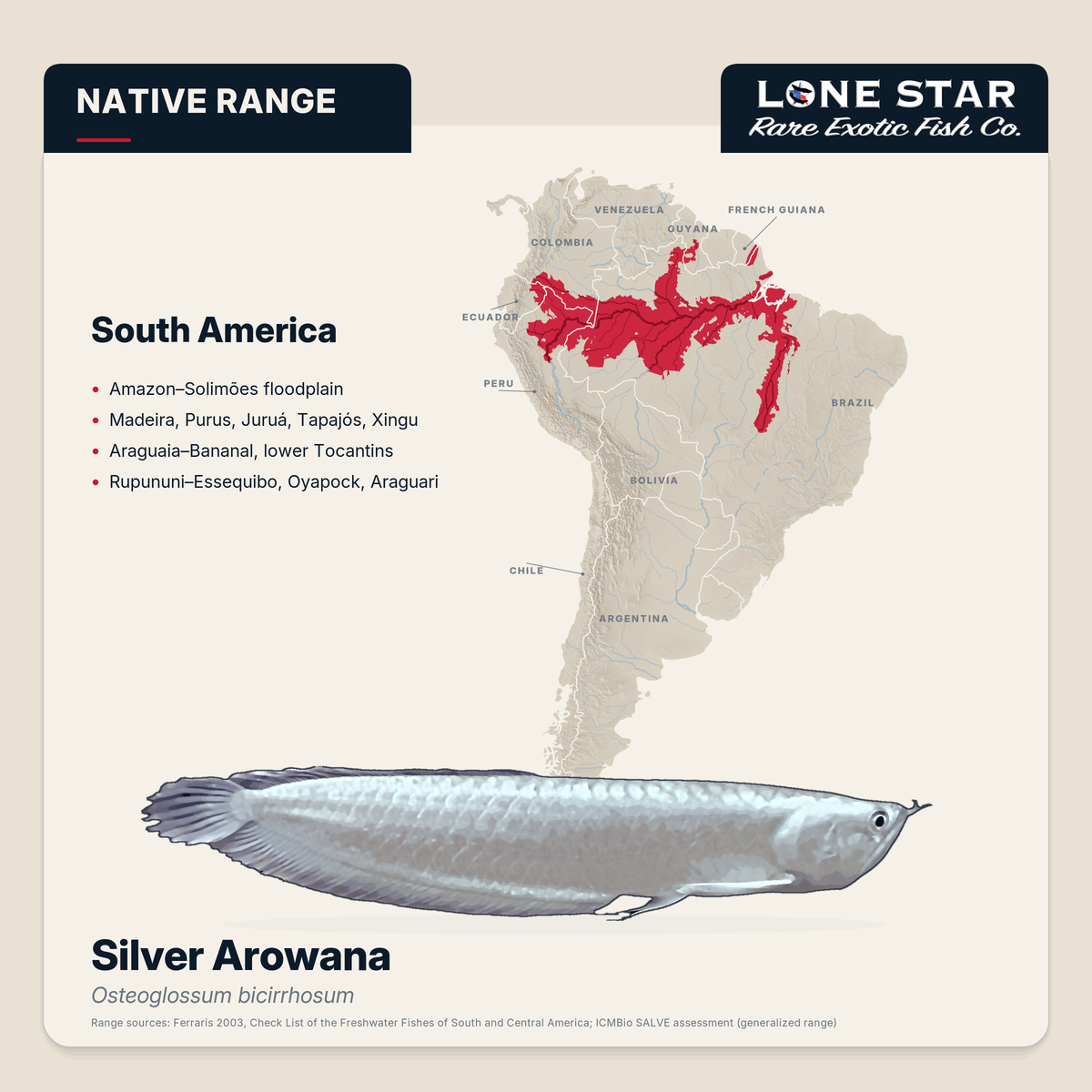 Silver arowana native range map, Amazon basin and Guianas